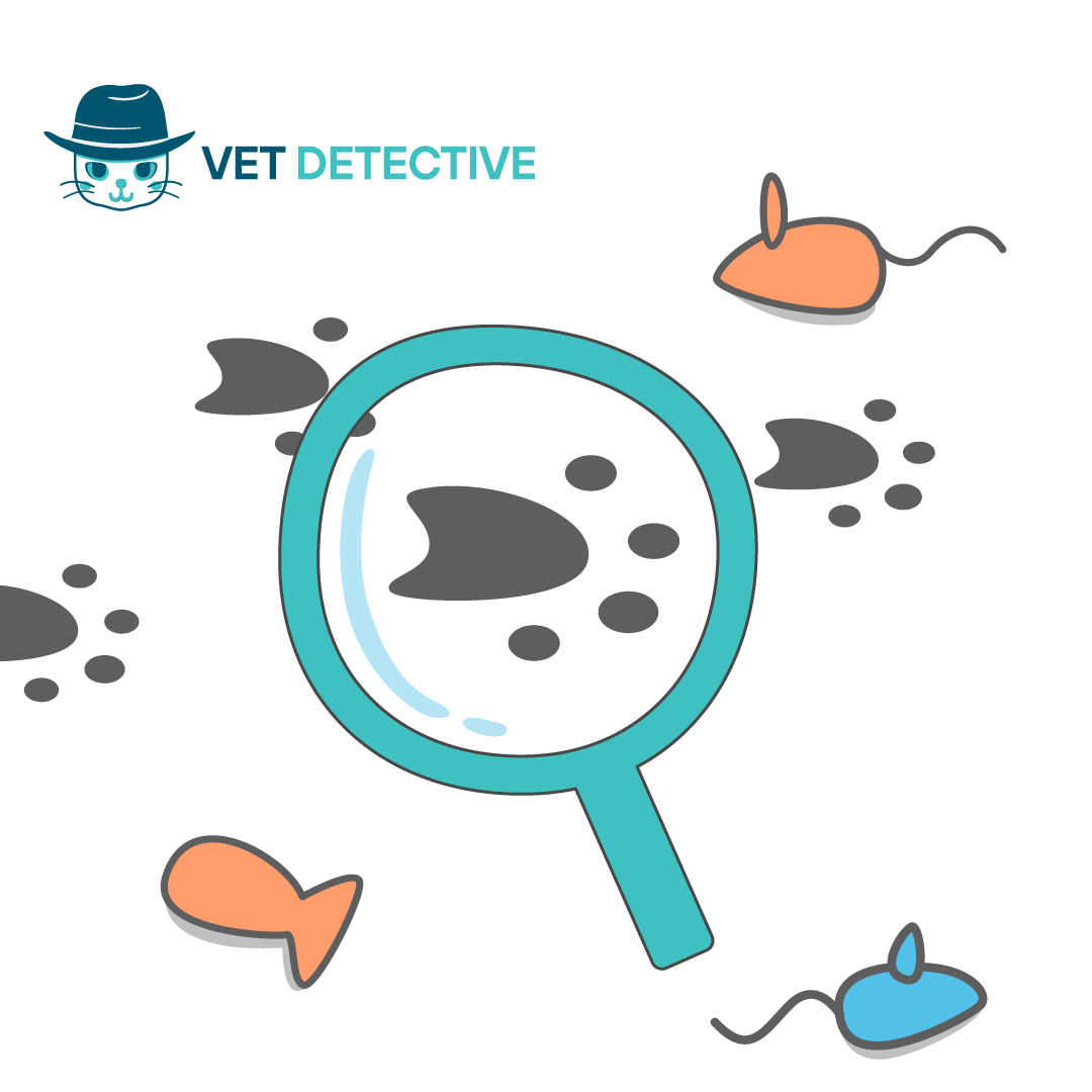 Vet Detective_sq block